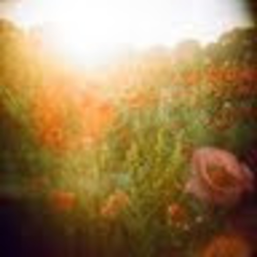 Meet your Posher, Shay